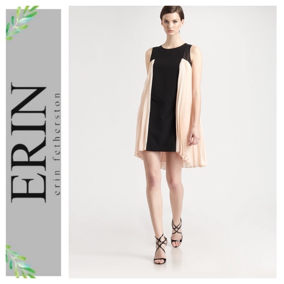 ERIN by Erin Fetherston Dresses & Skirts - ERIN by Erin Fetherston Pleated Dress.  Size 4